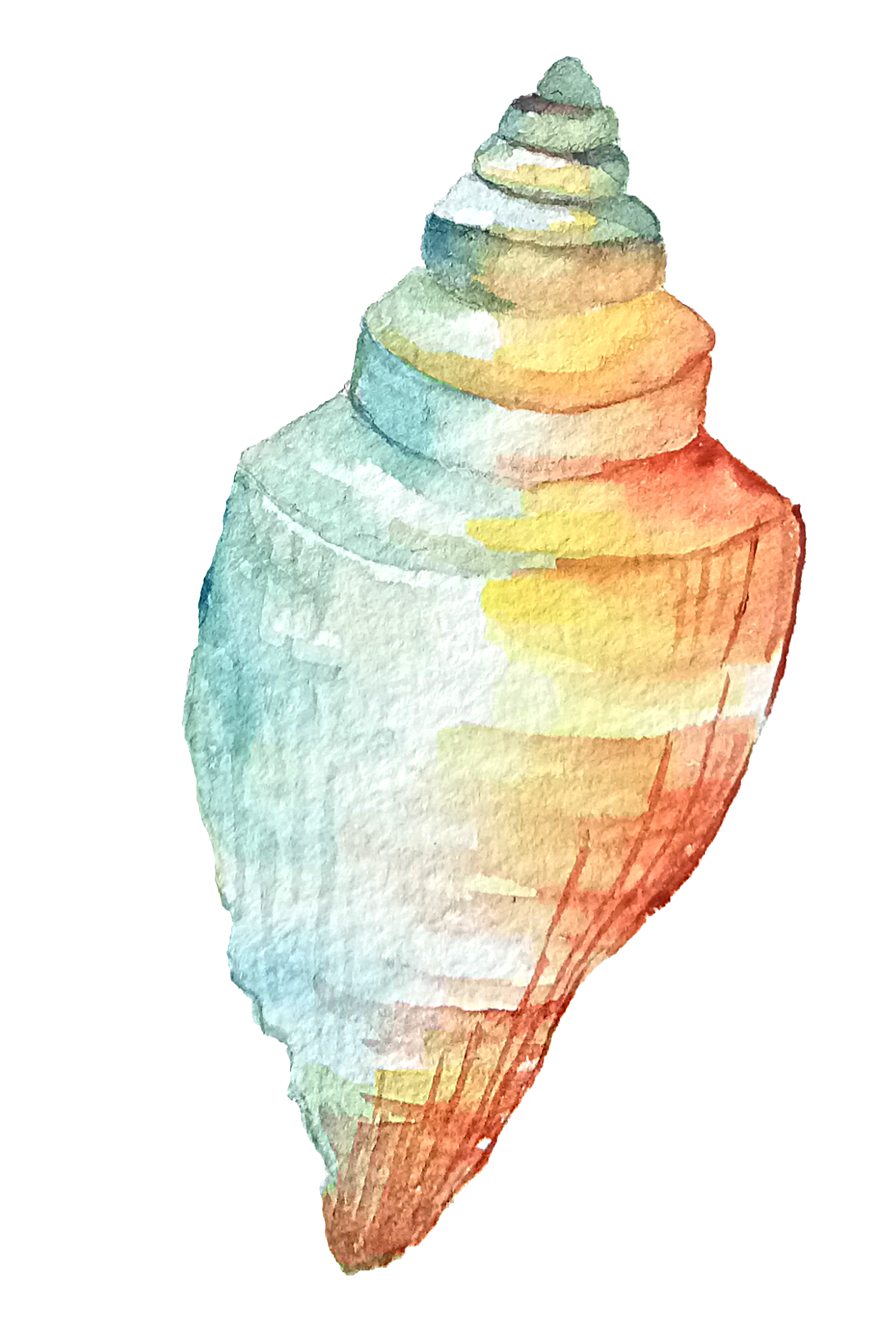 Watercolor Seashell