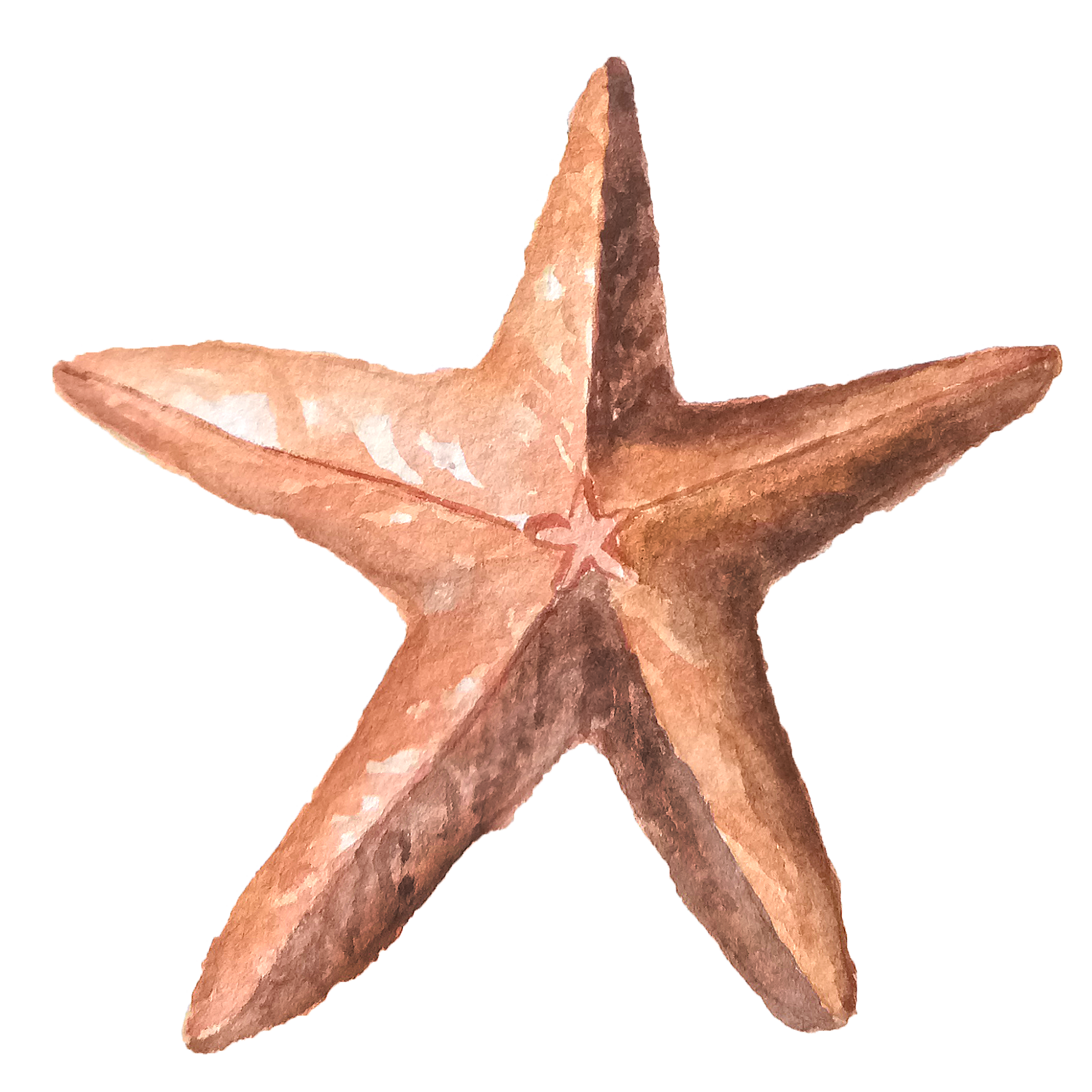 Watercolor Starfish