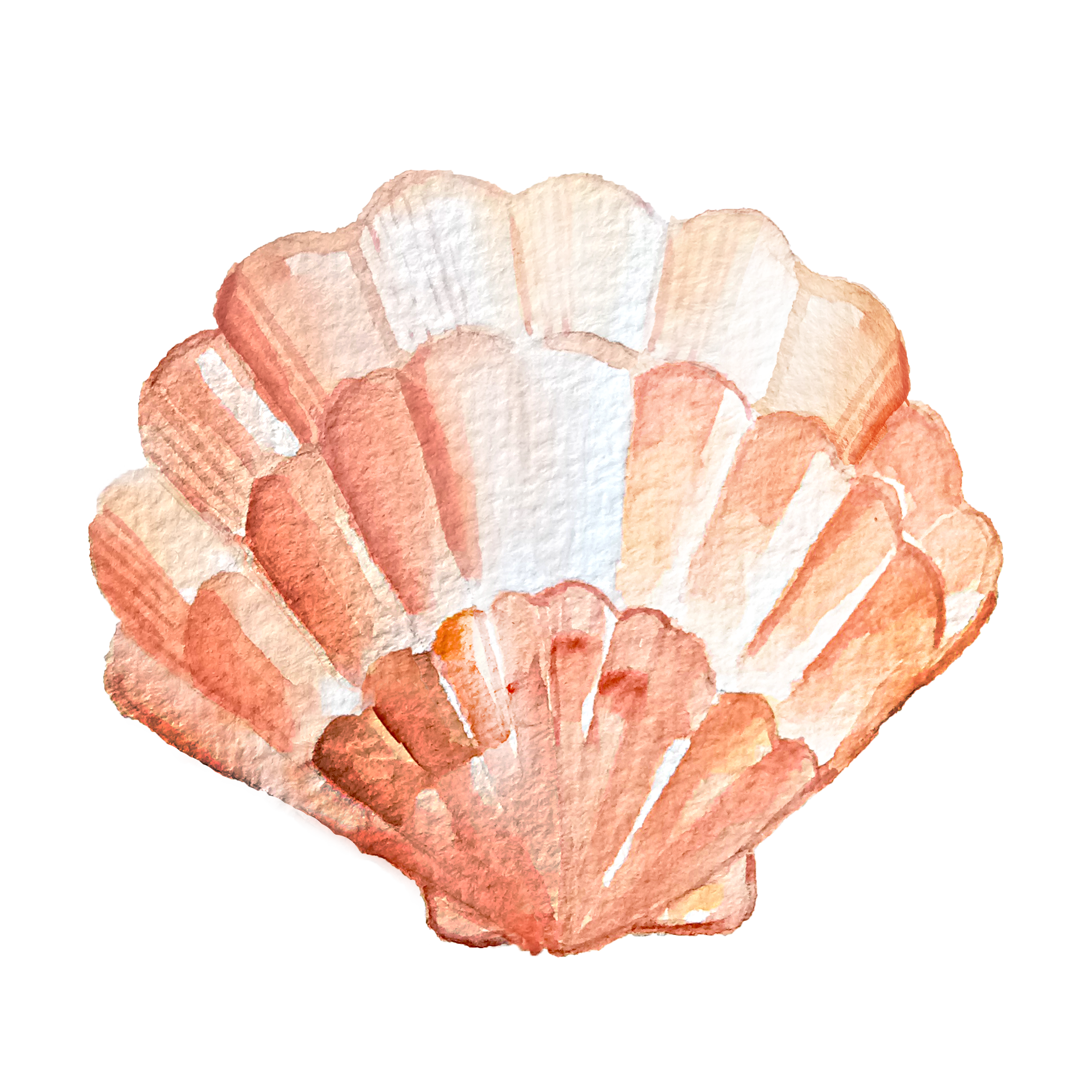 Watercolor Seashell