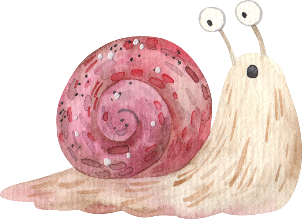 snail with red house drawing
