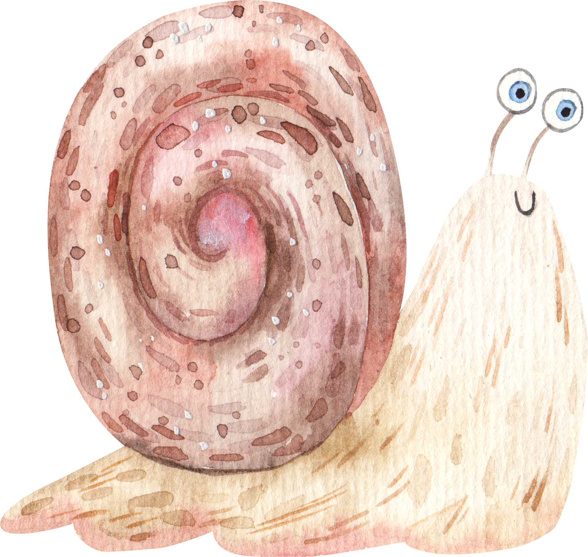 snail with brown house drawing