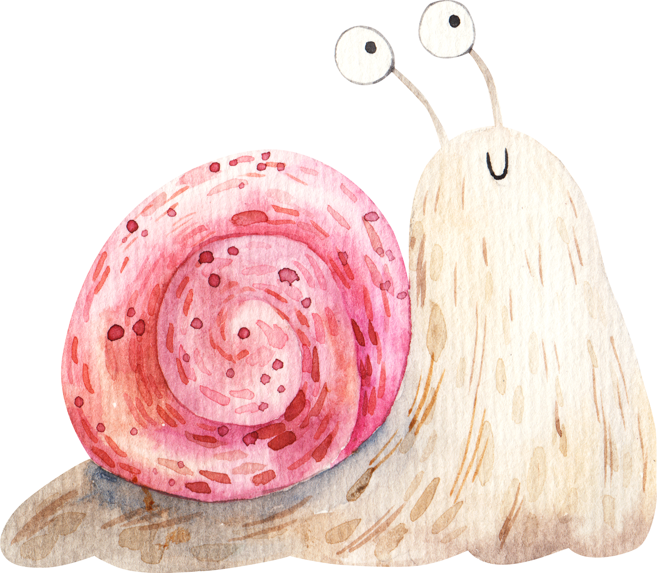 snail with pink house drawing