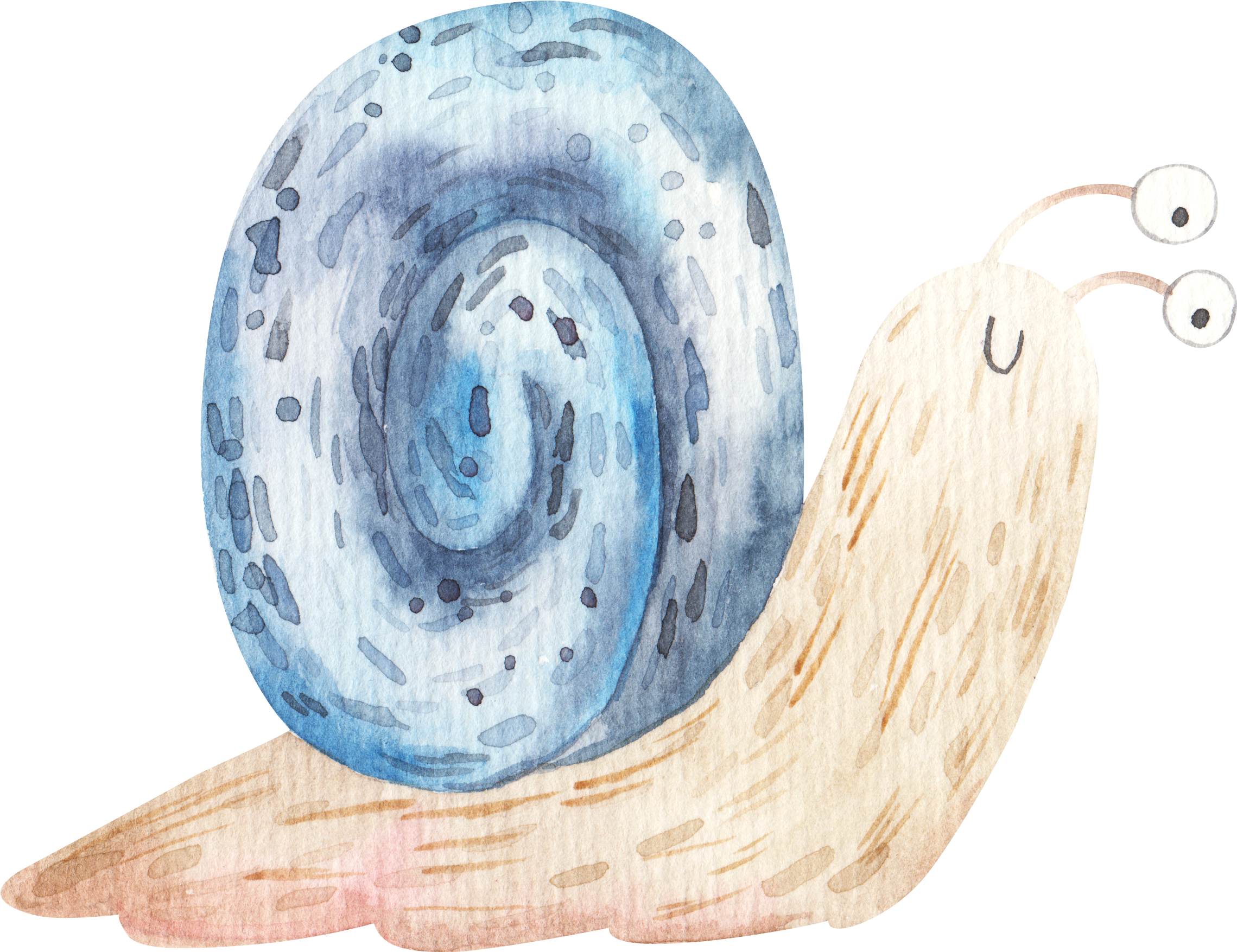 snail with blue house drawing